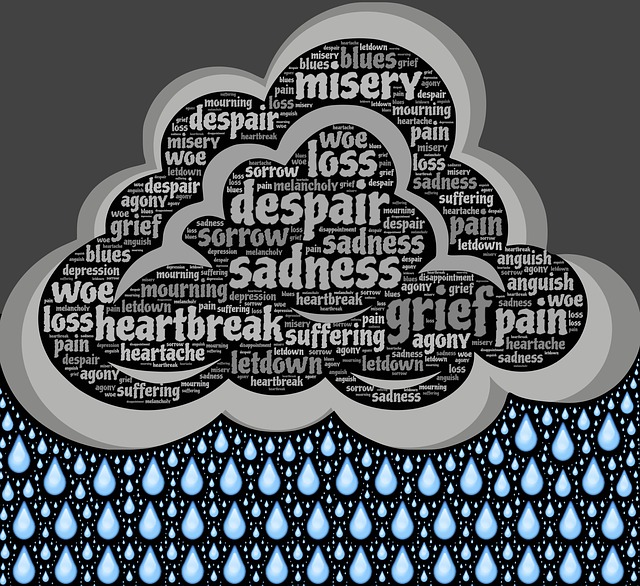 sadness-717432_640